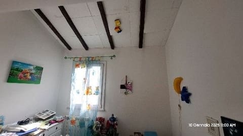 Photo of the lot 3