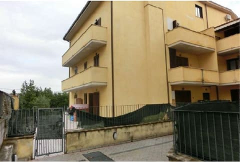 Photo of the lot 3