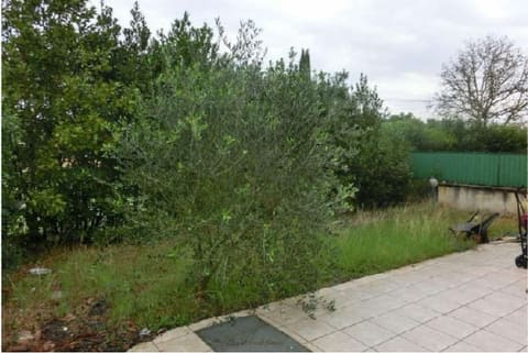 Photo of the lot 8