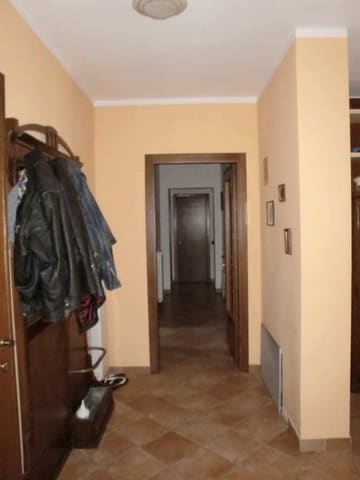 Photo of the lot 4
