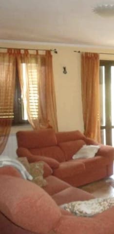 Photo of the lot 6
