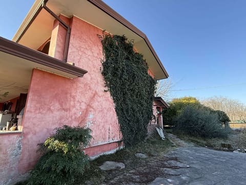 Photo of the lot 2