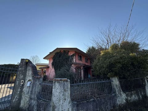 Photo of the lot 3