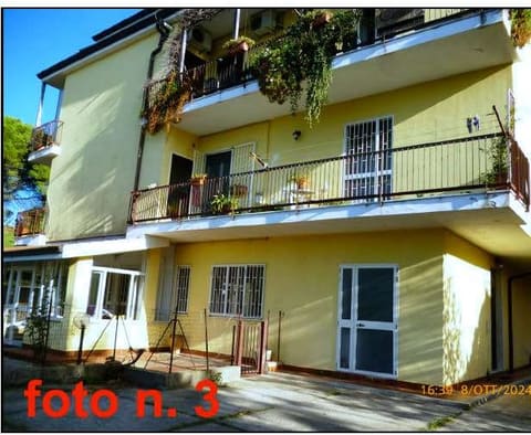 Photo of the lot 2