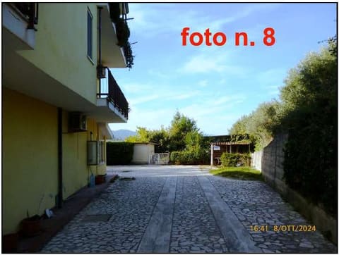 Photo of the lot 5