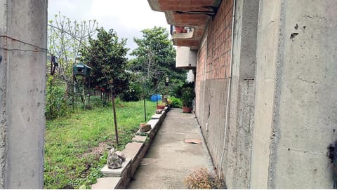 Photo: Altra categoria in Laureana di Borrello (RC)
