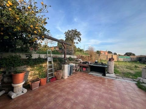 Photo of the lot 3