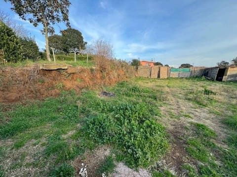 Photo of the lot 7