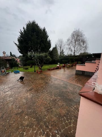 Photo of the lot 2