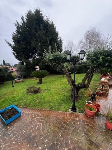 Photo of the lot 3