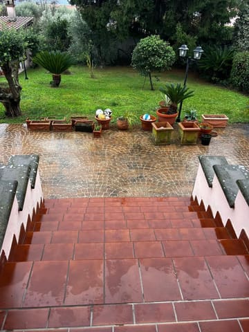 Photo of the lot 4