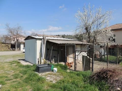 Photo of the lot 3