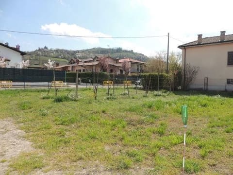 Photo of the lot 5