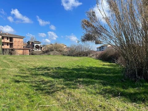 Photo: Altra categoria in Bagnolo San Vito (MN)