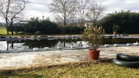 Photo of the lot 1