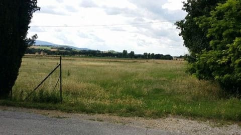 Photo of the lot 4