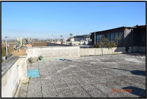 Photo of the lot 1