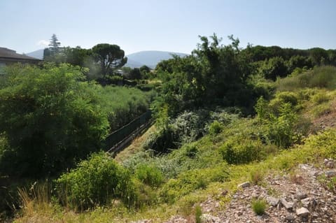 Foto: Altra categoria a Foligno (PG)