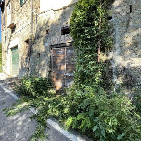Photo of the lot 4