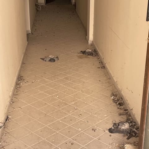 Photo of the lot 7