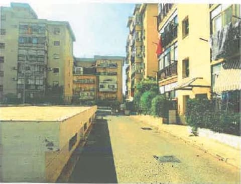 Photo of the lot 2