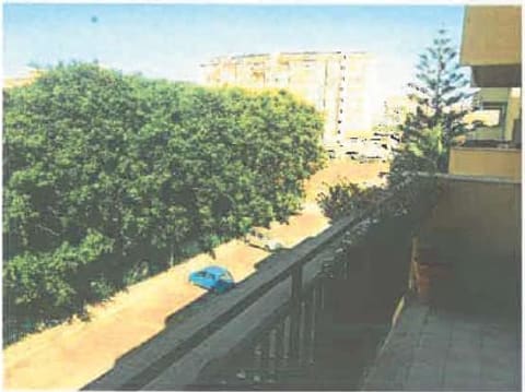 Photo of the lot 3