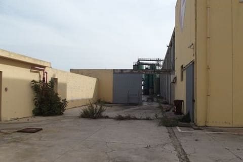 Photo of the lot 3
