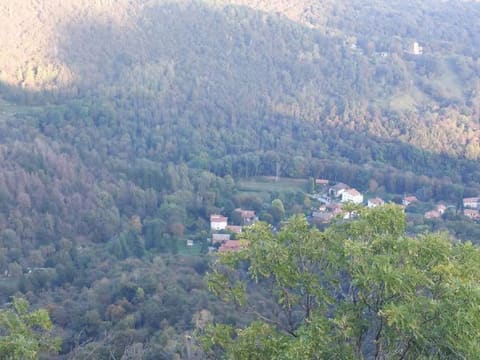 Photo: Altra categoria in Varese (VA)