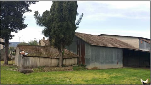 Photo: Altra categoria in Pontecorvo (FR)