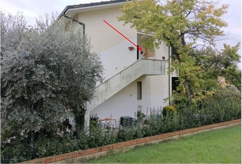 Photo of the lot 2