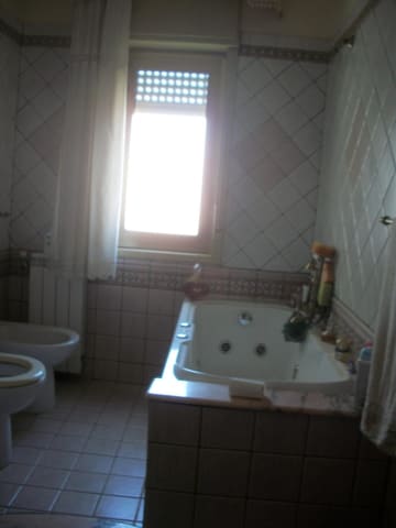 Photo of the lot 8