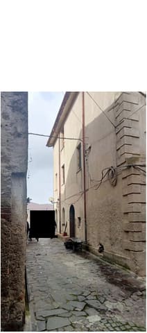 Photo of the lot 2
