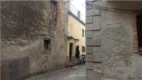 Photo of the lot 3