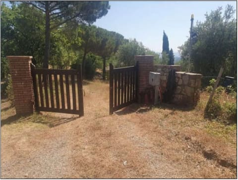 Photo of the lot 2