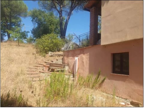Photo of the lot 4