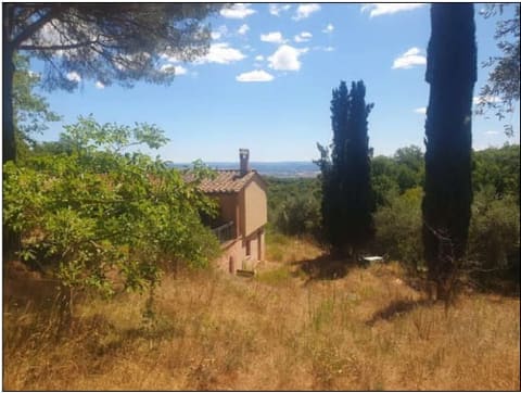 Photo of the lot 8