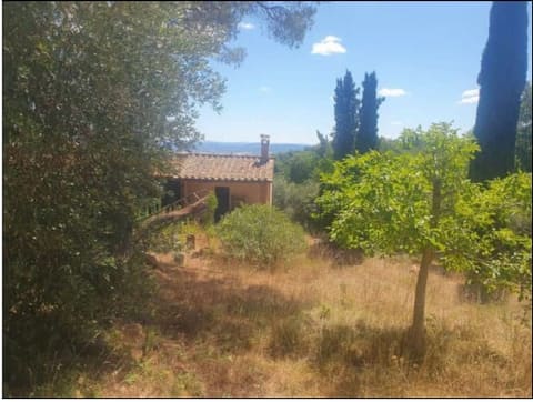 Photo of the lot 9