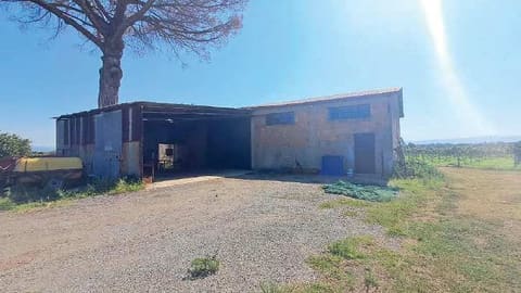 Photo of the lot 5