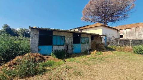 Photo of the lot 6