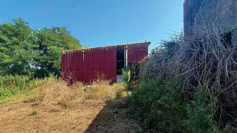 Photo of the lot 4