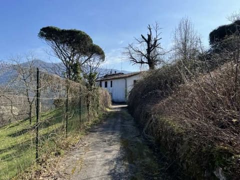 Photo: Immobile commerciale in Castelnuovo di Garfagnana (LU)