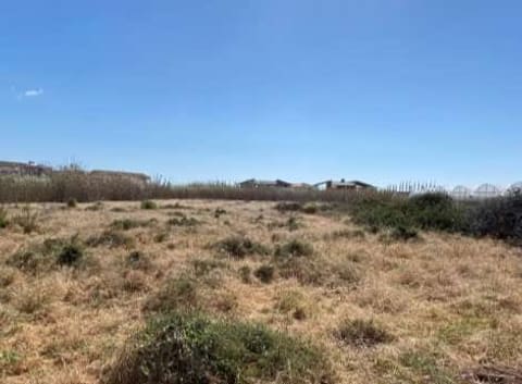 Photo: Altra categoria in Portopalo di Capo Passero (SR)