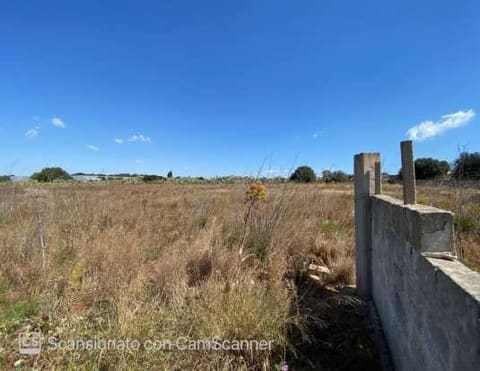 Photo: Altra categoria in Pachino (SR)