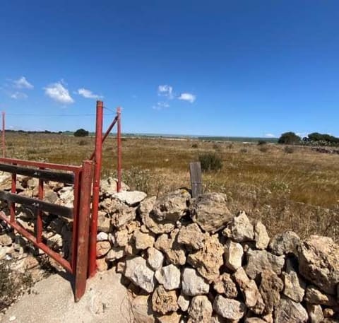 Photo: Altra categoria in Pachino (SR)