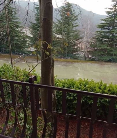 Photo of the lot 3