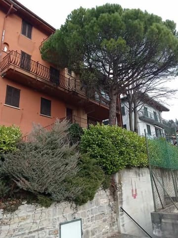 Photo of the lot 4