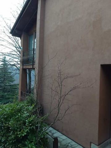 Photo of the lot 5