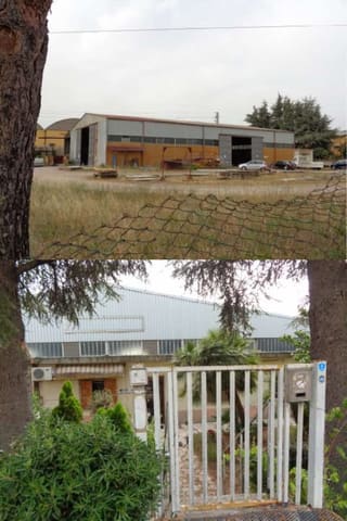 Photo of the lot 3