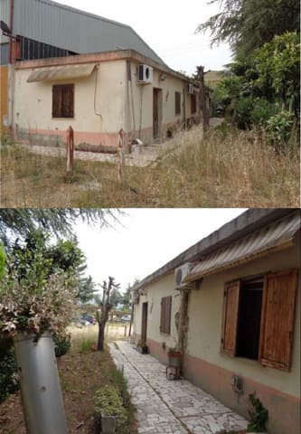Photo of the lot 4