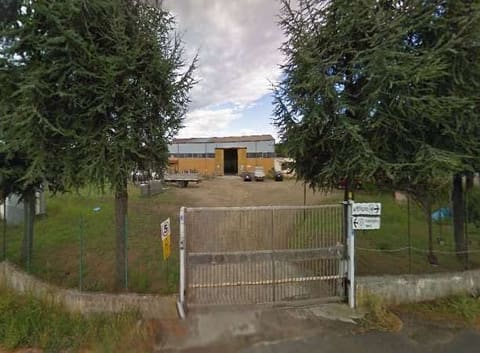 Photo of the lot 6